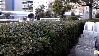 极品少妇啪啪极品bm
